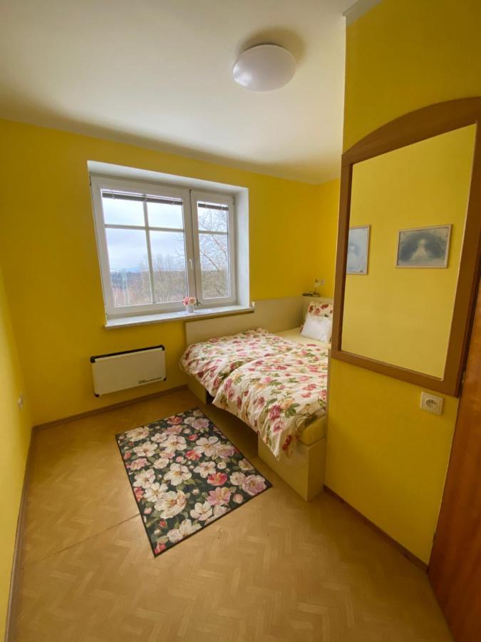 Rodinny Apartman 3+1 Horni Mesto エクステリア 写真