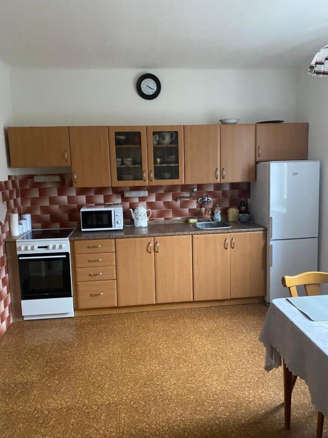 Rodinny Apartman 3+1 Horni Mesto エクステリア 写真