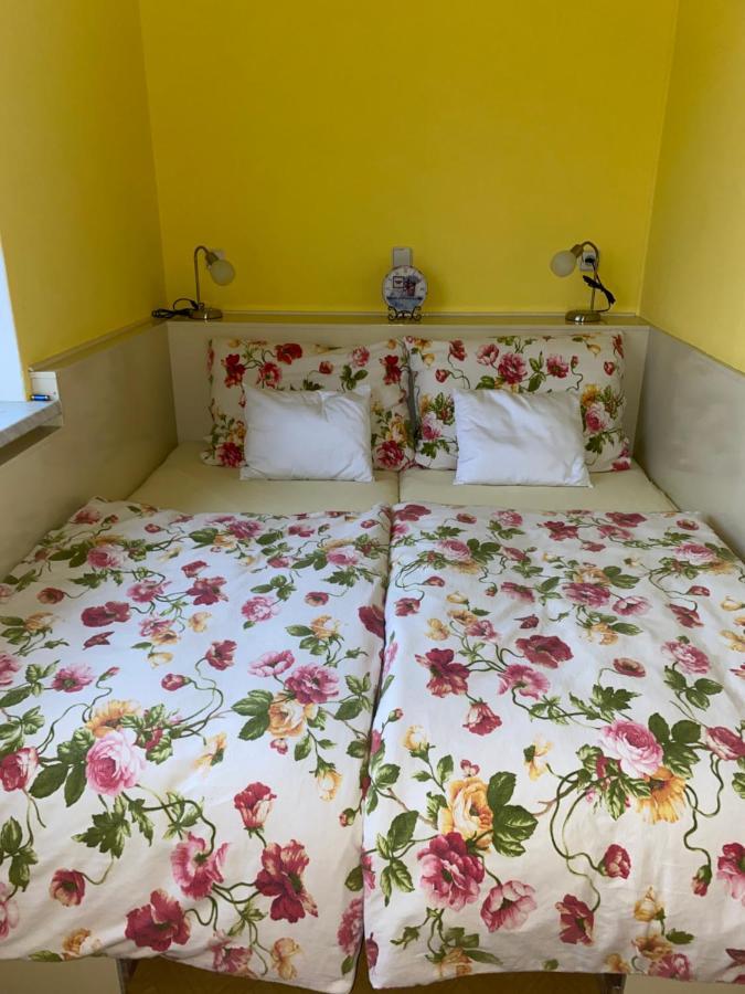 Rodinny Apartman 3+1 Horni Mesto エクステリア 写真