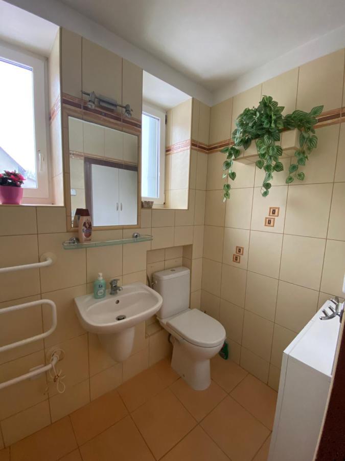 Rodinny Apartman 3+1 Horni Mesto エクステリア 写真
